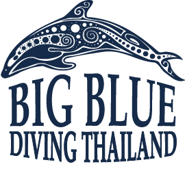 Big-Blue-Diving-Thailand-Logo